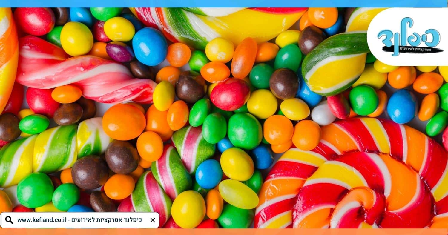 מהן האפשרויות המוצעות?